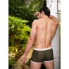  Slip de bain Alpha Male 