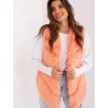  Gilet AT 